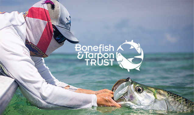 Bonefish & Tarpon Trust Marketing Case Study