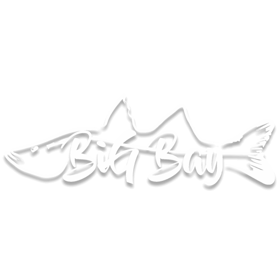 Big Bay Fishing Charters logo