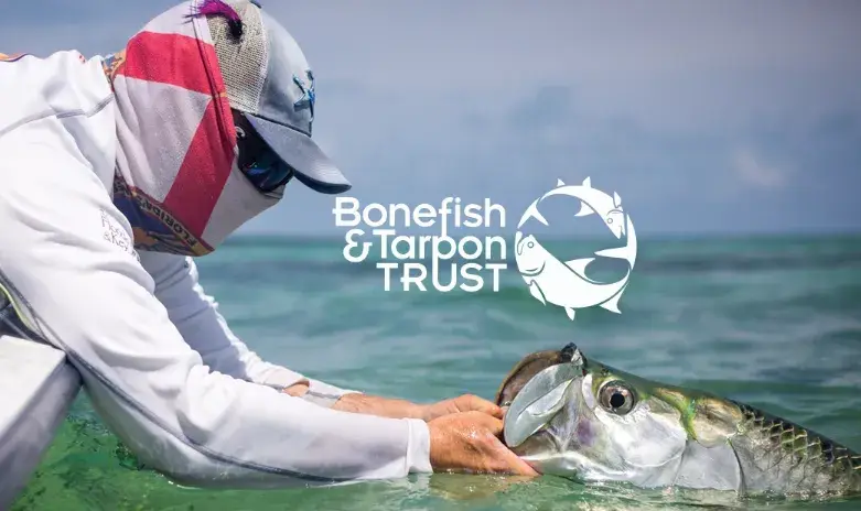 work for bonefish and tarpon trust